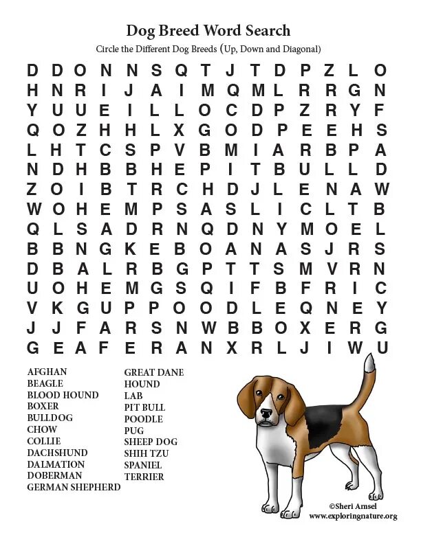Pets Wordsearch. Wordsearch Dogs. Pets Words. "Найди слово Dog".