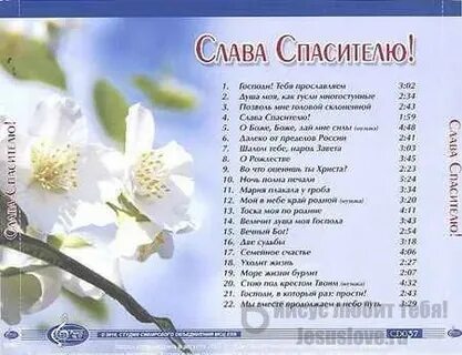 Стихи мсц