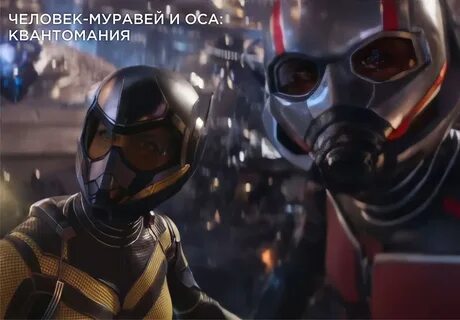 Человек муравей 2023 качество