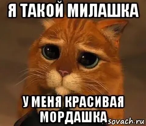 Милашка дай мне ответ. Милашка дай мне ответ. Милашка дай мне ответ. Кто такой милашка. Chery chery lady текст.