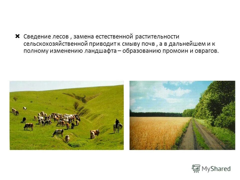 сведение естественный