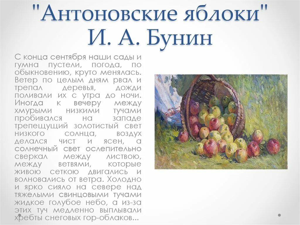 Антоновские яблоки читательский дневник. Антоновские яблоки картинки бунин. Бунин и. Бунин антоновские яблоки краткое содержание. Антоновские яблоки бунин иллюстрации.