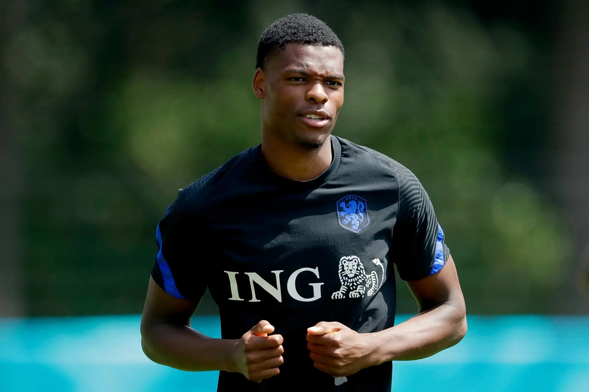 дензел думфрис