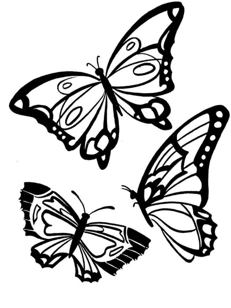 Раскраска "бабочки". Рисунок бабочки для раскрашивания. Бабочка раскраска для детей. Бабочка черно белая.