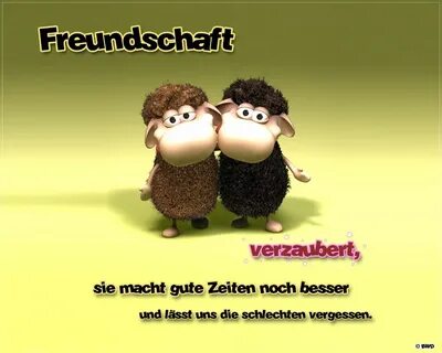 Freund freundin