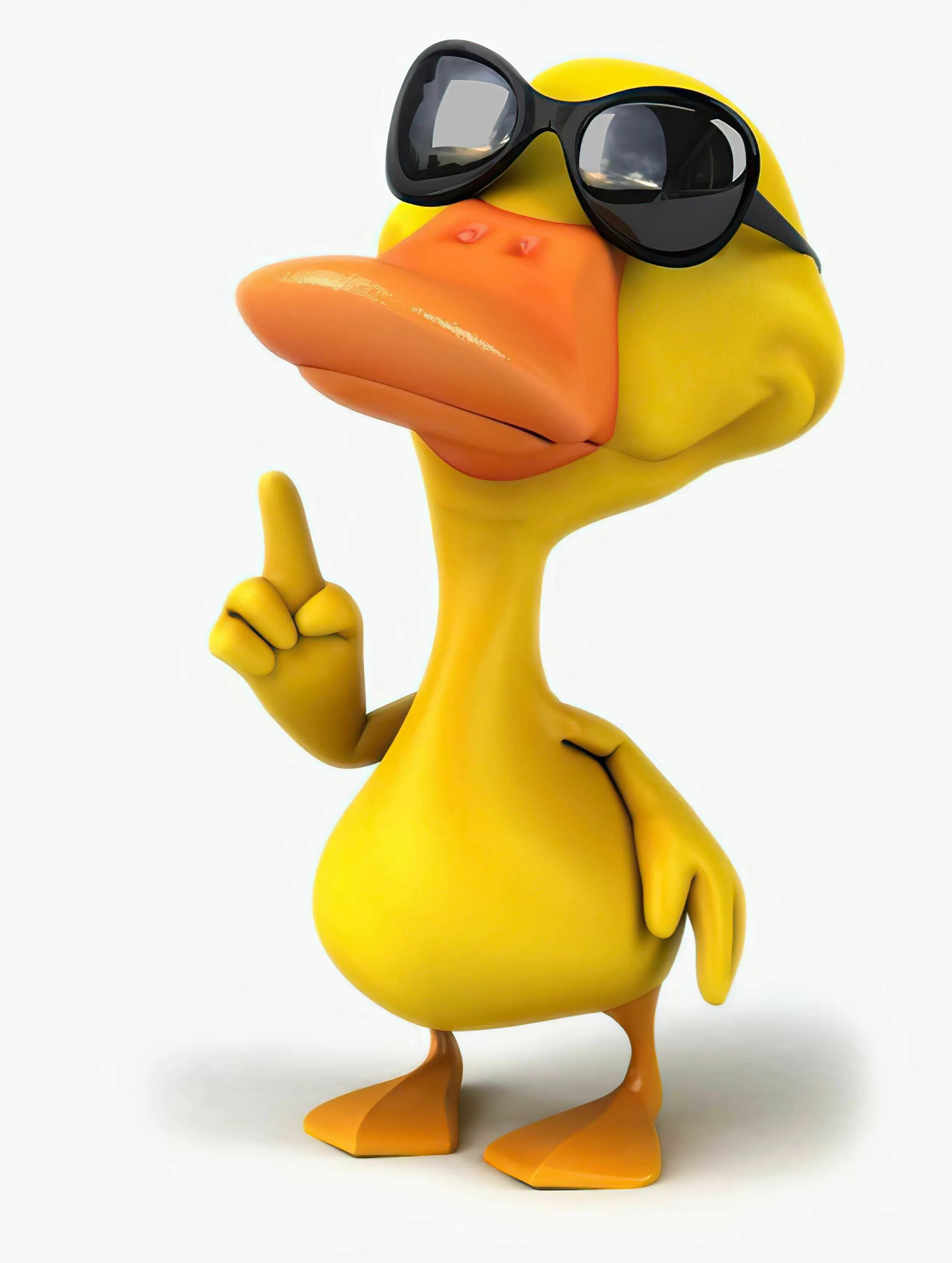 Duck up