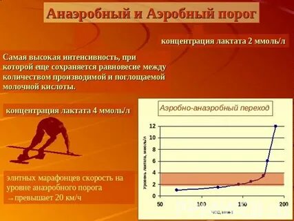 Аэробный процесс это