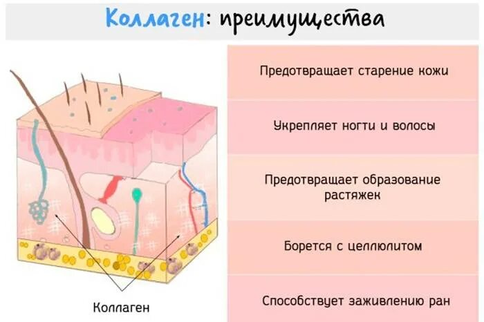 Как работает коллаген. Коллаген для кожи. Коллаген нужен для. Строение кожи коллаген. Коллагеновые волокна кожи.