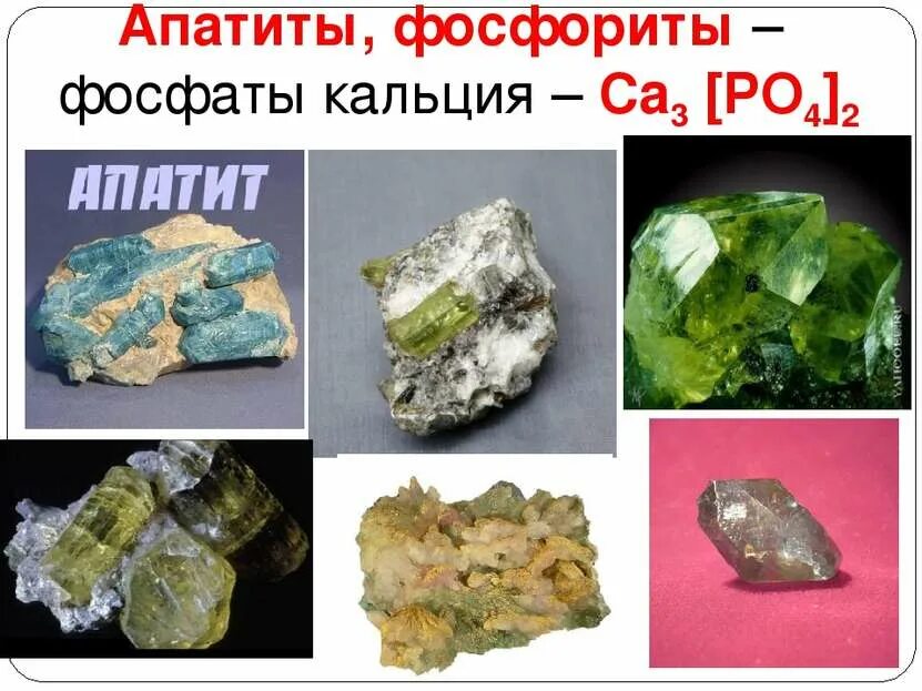 Фосфат кальция зубы. Минералы- фосфориты и апатиты. фосфат кальция минерал. фосфорит минерал. апатиты фосфор.
