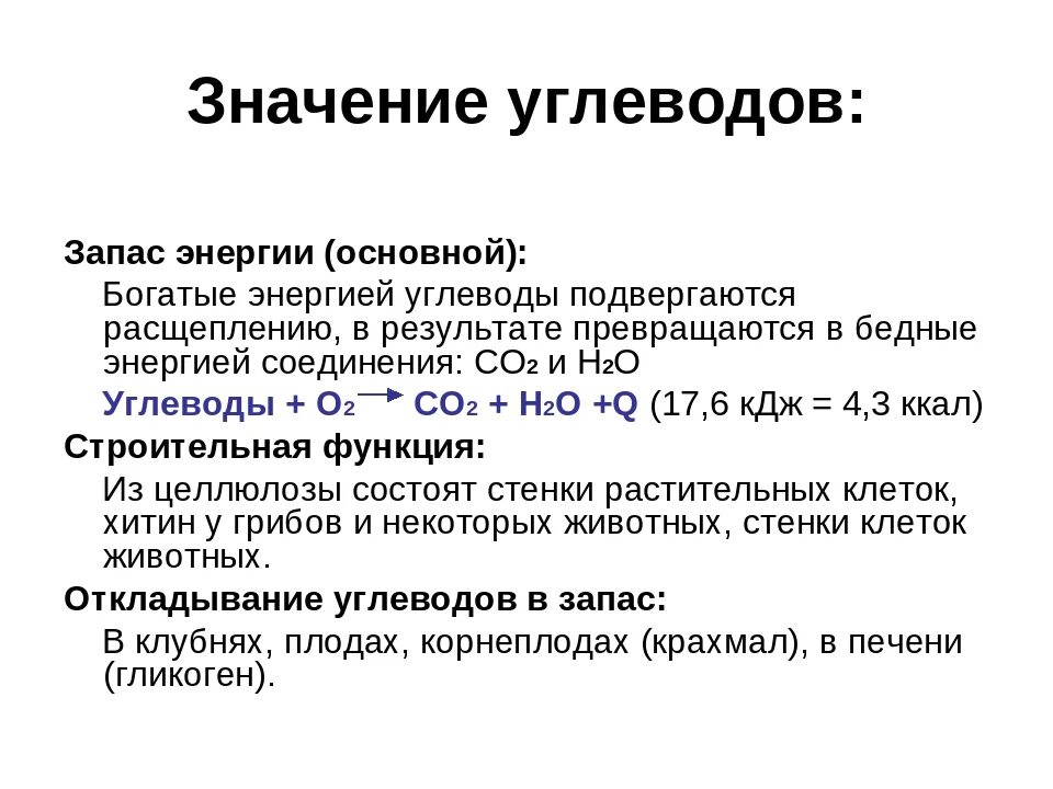 Значение углеводов. Значение углеводов для человека. Значение углеводов в организме кратко. Практическое значение углеводов.