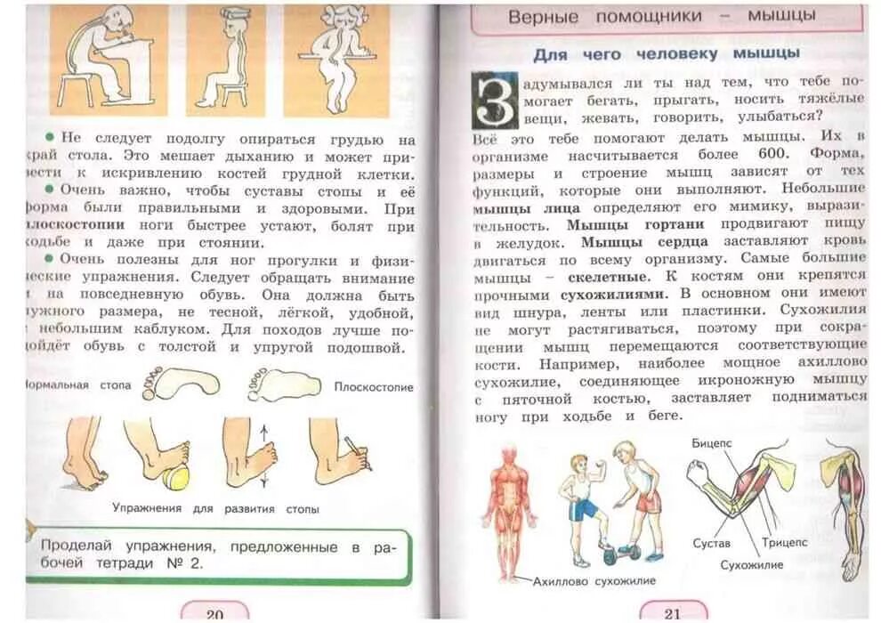 Окружающий мир 3 класс стр 31 учебник