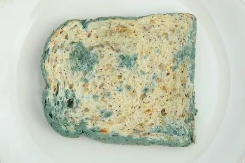 Зеленая плесень на хлебе