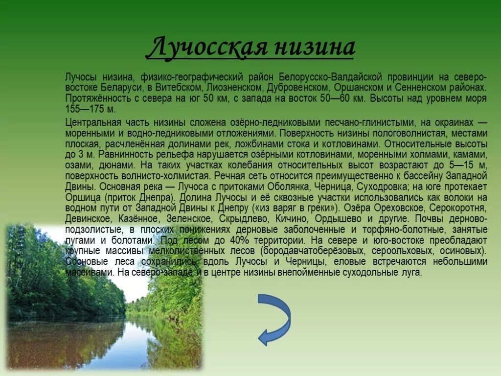 Низина отзывы. Белорусско Валдайская провинция. Река Оболянка Витебская область. Низина. Что значит Низина.