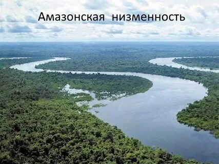 Амазонская низменность восточно европейская равнина