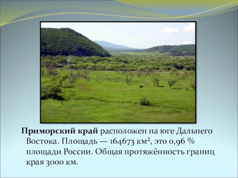 На юге края расположены. Формы рельефа Приморского края. Поверхность Приморского края 4 класс. Поверхность Приморского края 4 класс окружающий мир. Приморский край презентация.