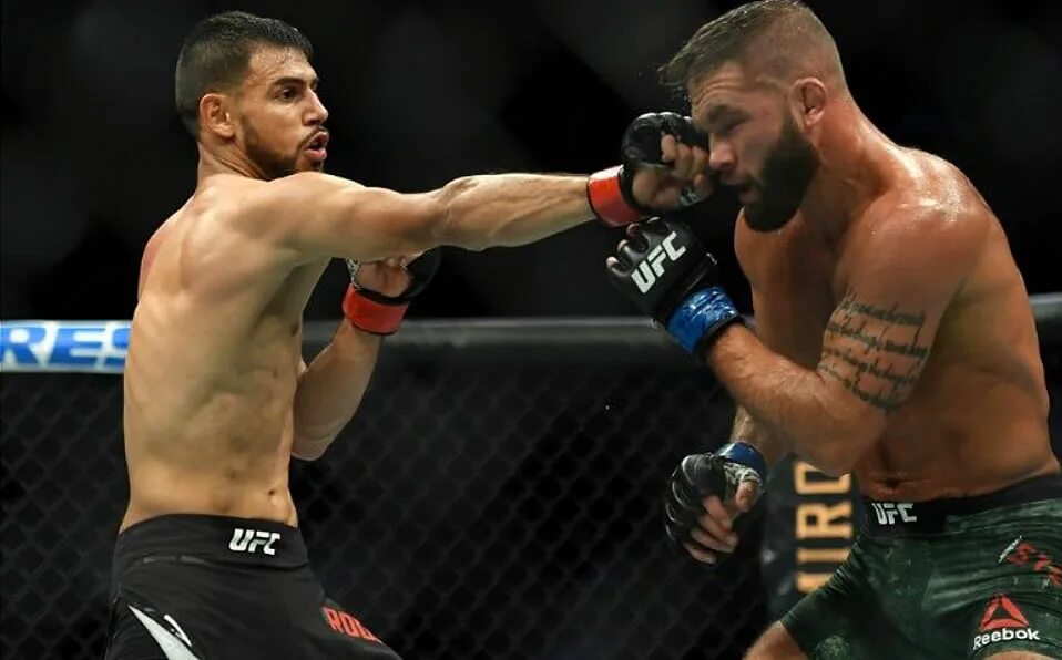 Родригес ufc. Yair Rodriguez UFC. Волоконовский Яир Родригес.