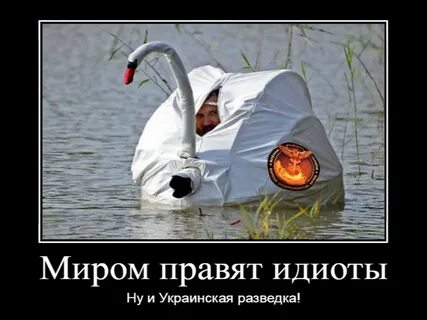 Разведка мем