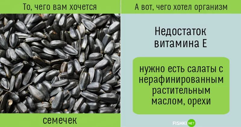 Почему хочется семечек жареных. Хочется семечек подсолнечника. если хочется семечек чего не хватает в организме. чего не хватает если хочется семечек. если хочется семечки чего не хватает в организме.