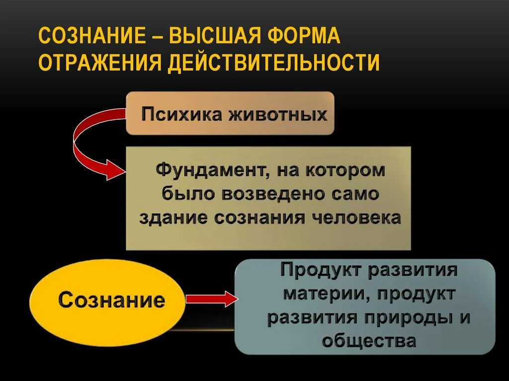 Что отражается в форме в. Формы отражения действительности. Сознание - форма отражения действительности. Сознание это Высшая форма психического отражения действительности. Сознание как форма психического отражения действительности.