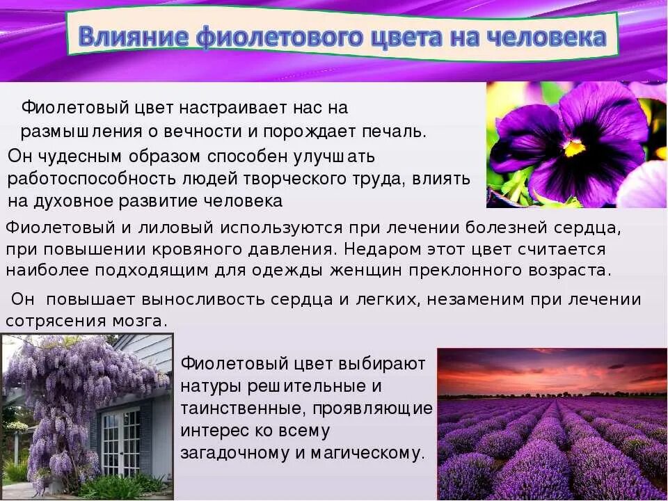 Если нравится фиолетовый цвет. Фиолетвыйцвет в психологии. Влияние фиолетового цвета на человека. Фиолетовый цвет в психологии. Фиолетовый цвет значение и влияние на человека.
