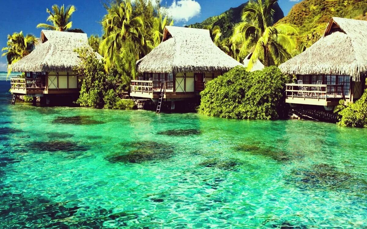 Мальдивы dusit thani maldives. Остров таити. Бора-бора остров. Райская природа. Райские места видео.