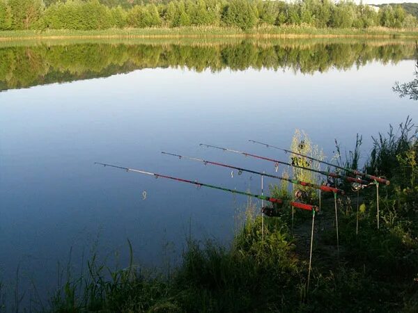 Река меша рыбалка. Рыбалка в казани спиннингом. Рыбалка в зеленодольске. Озеро богородское казань. Озеро шанхай казань.