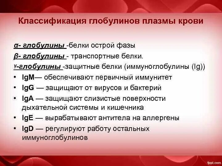 Глобулин это. Функции глобулинов в крови. Функция глобулинов плазмы. Функции глобулинов плазмы крови. Глобулины сыворотки крови функции.