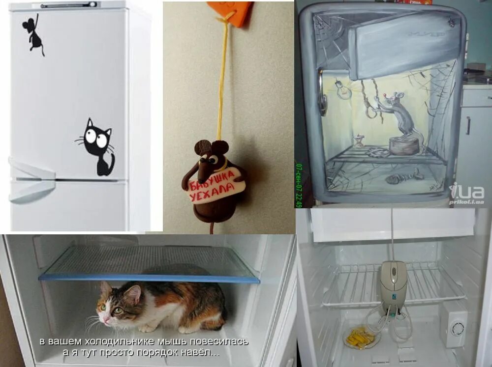 Хорек ворует вещи. Мир беатрис поттер. Мир беатрис поттер. Мышь в холодильнике. Видео где крыса ночью наводит порядок в гараже.