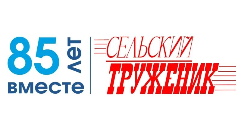 90 летие газеты. 90 летие газеты. 90 лет эмблема. Юбилейный логотип газеты. Юбилей газеты.