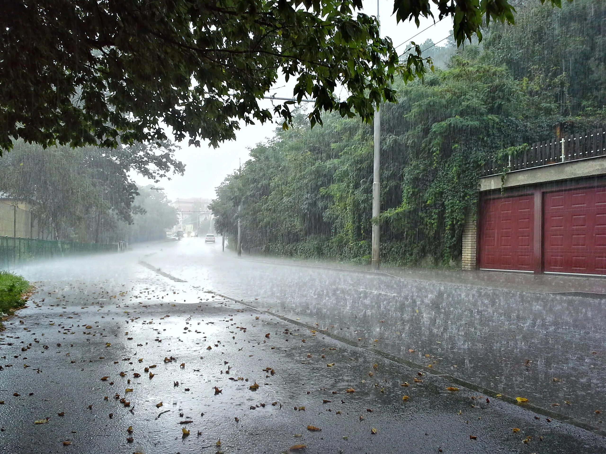 Rain фото. Дождь на улице. Ливень. Сильный дождь. Ливневые дожди.