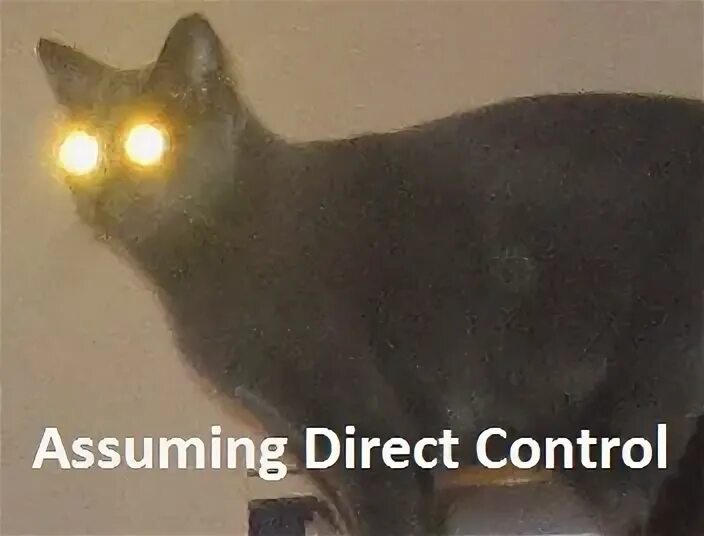 Assuming that. Assuming that. Assuming that. Assuming that. Assuming direct control мем.