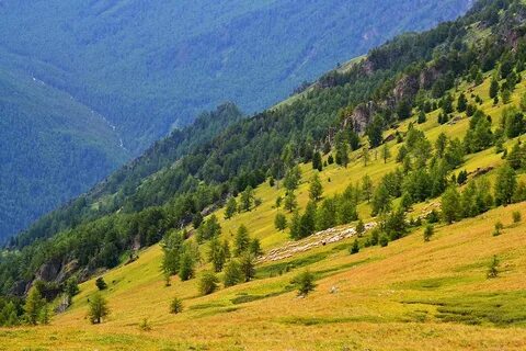 Почему алтайские горы выше чем уральские