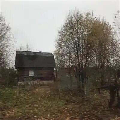 Погода д демешкин. Погода д демешкин