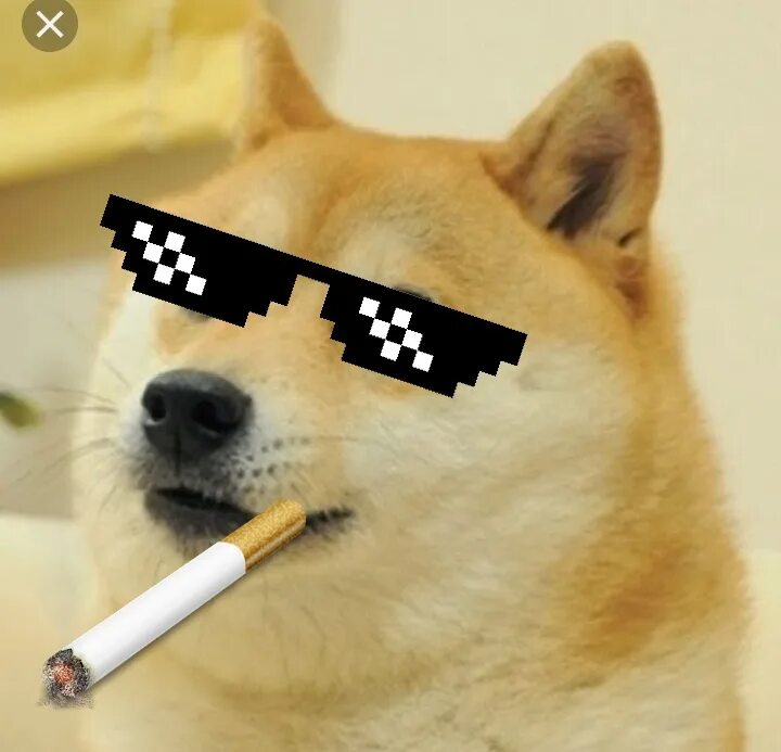 Theme meme. Саббака. Sad Doge. Asdadad.