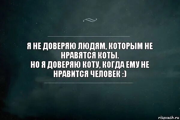 Не доверяю людям песня. Не доверяю людям. Не доверяю людям которым не нравятся коты. Доверяю котам, которые не доверяют человеку. Но я доверяю коту когда ему не Нравится человек людям.