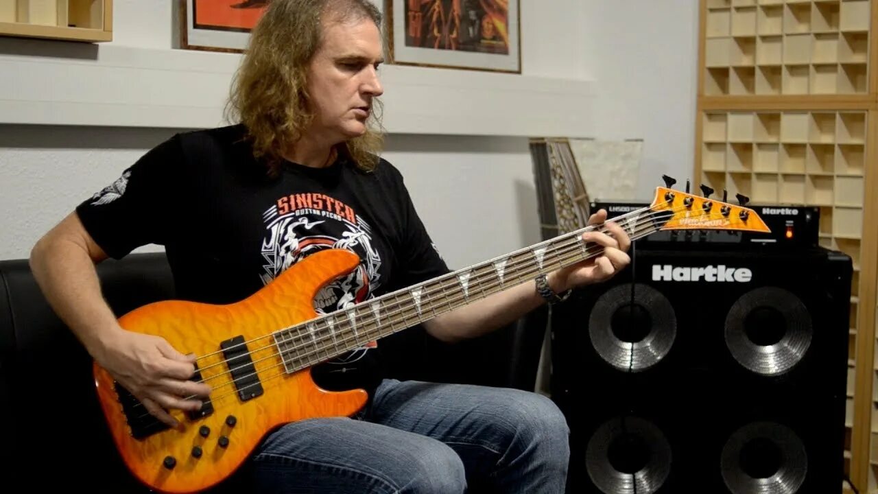 Many bass. Дэвид Эллефсон бас гитары. Дэвид Эллефсон Megadeth. David Ellefson 2022. Jackson David Ellefson Bass.