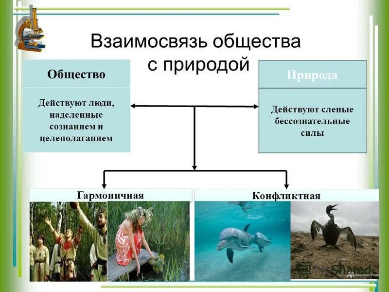 Привести примеры гармоничного общества