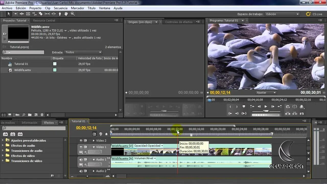 Шрифт adobe premiere. Adobe Premiere Pro cs5. Adobe Premiere Pro 5. Adobe Premiere Pro CS5.5. Adobe Premiere Pro 5.5.