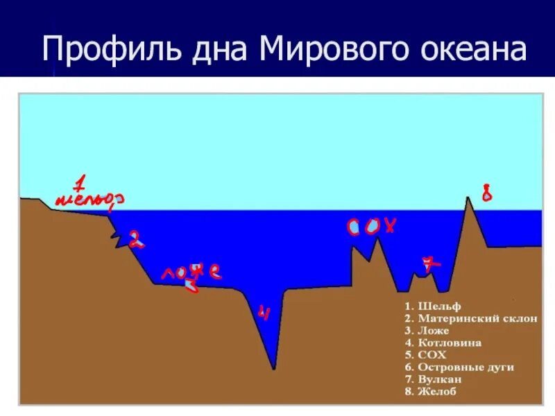 Рельеф дна океана 5 класс география. Профиль дна мирового океана 5 класс география. Формы рельефа дна мирового океана 6 класс. Схема рельефа дна мирового океана 6 класс. Профиль рельефа дна мирового океана.