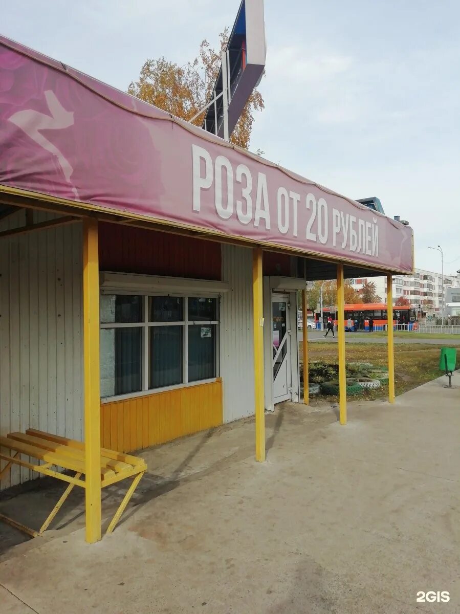 Планета цветов набережные челны. Реклама планета цветов челны. 49 03 набережные челны. Цветы набережные челны. 49 03 набережные челны.