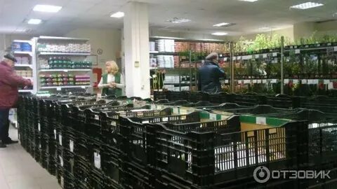 Мир увлечений отрадное