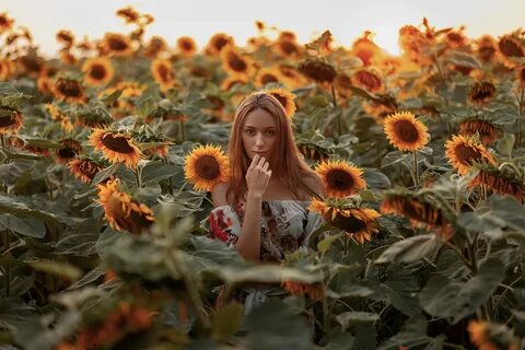 Фото с подсолнухами в поле
