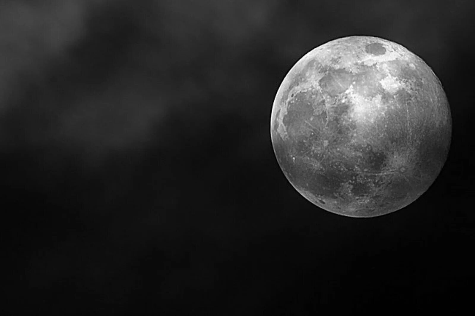 Luna net