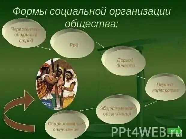 Вид организации общества