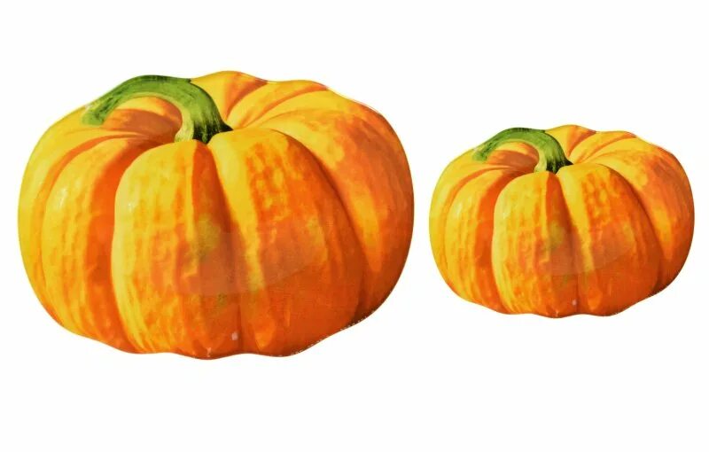 тыква твердокорая сорта. ферма тыкв. тыква 20. тыква осенью. осенний урожай.