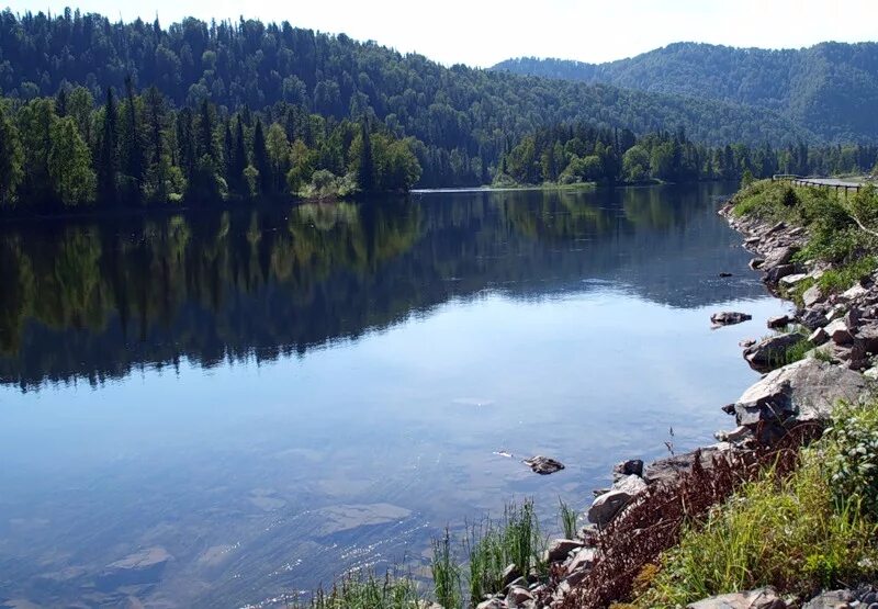 Вода в реке бия. Горный Алтай Бия. Река Бия Катунь Алтайский край. Река Бия Алтай. Республика Алтай озеро Катунь.