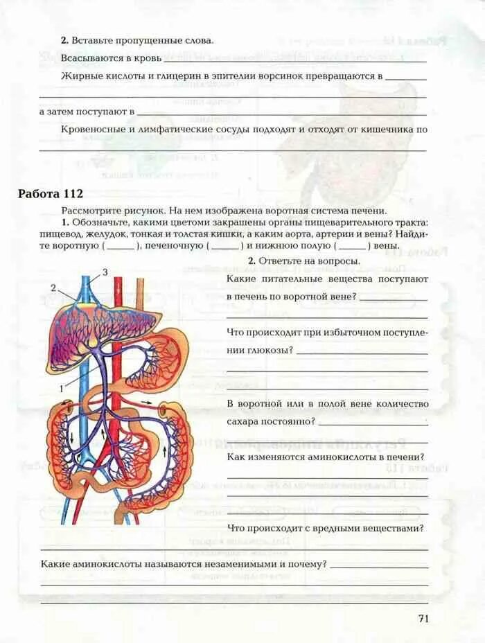 Тетрадь по биологии 8 класс драгомилов. Рабочая тетрадь 1 по биологии 8 класс драгомилов. Рабочая тетрадь по биологии 8 класс маш драгомилов 1 часть. Биология 8 класс рабочая тетрадь маш. Ответы по биологии 8