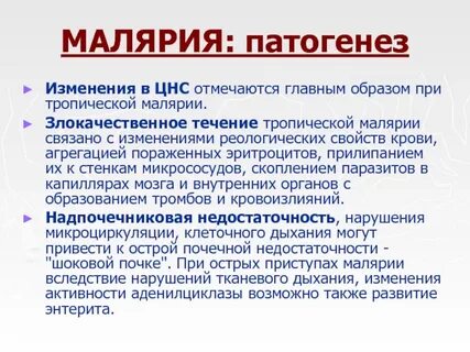 Возбудителем тропической малярии является