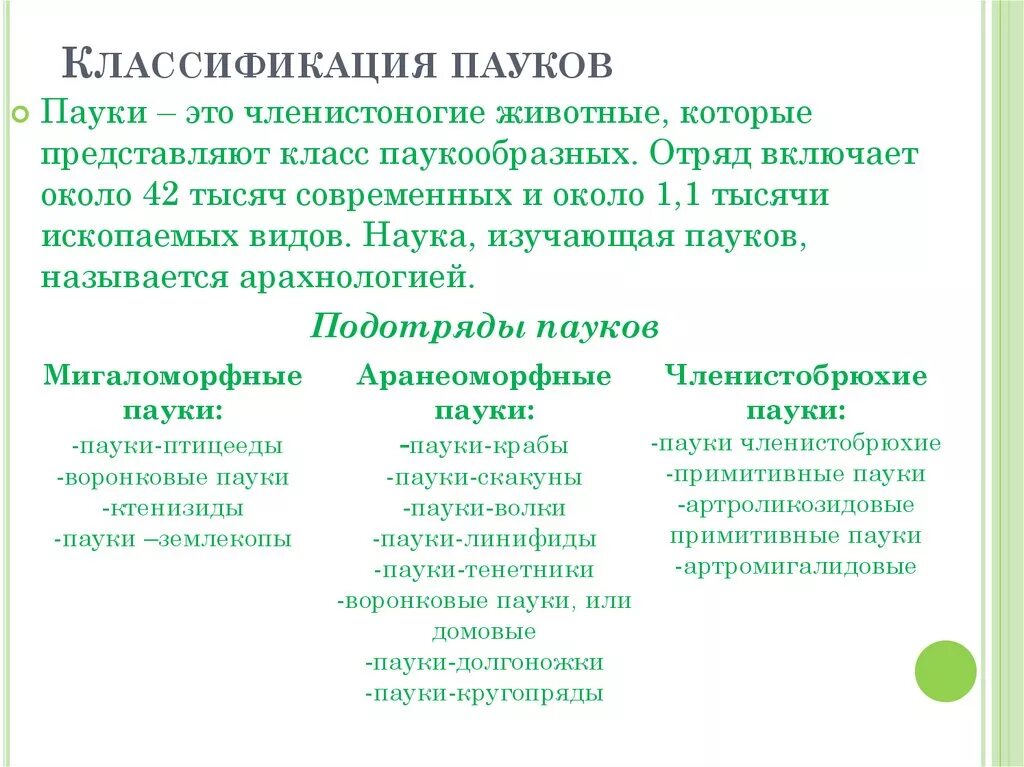 Тип пауков в биологии. Классификация пауков. классификация паукообразных. классификация пауков биология. систематика паукообразных.