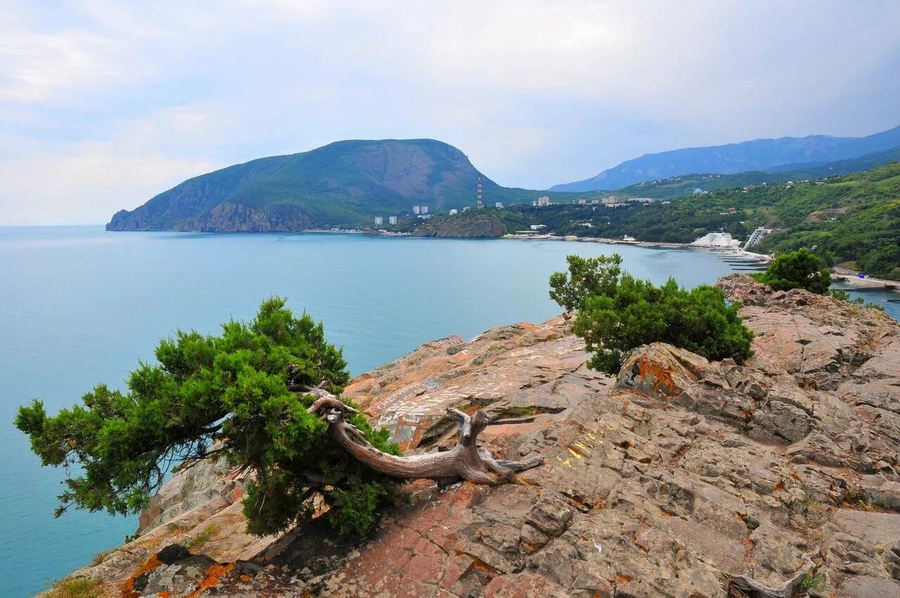 Поселок Утес Алушта. Мыс Утес Крым. Утёс Крым мыс Плака.